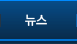 뉴스